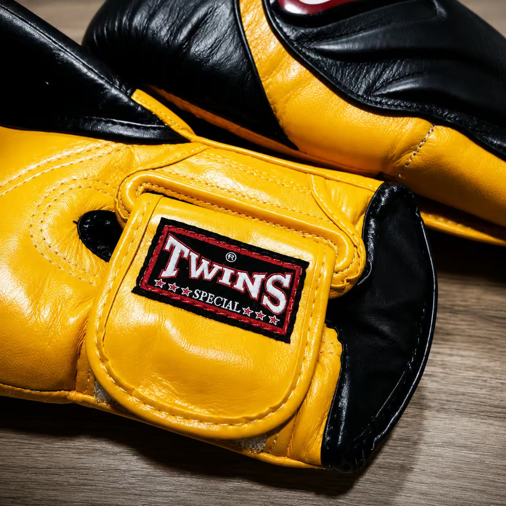 Twins Special Boxing Gloves BGVL-6 | Premium Muay Thai & Boxing Training Gloves