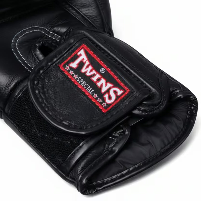 Twins Special Boxing Gloves BGVL-6 | Premium Muay Thai & Boxing Training Gloves