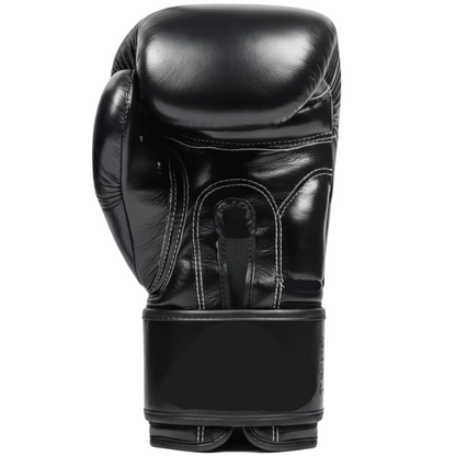 Pair of twins special black boxing gloves on a white background