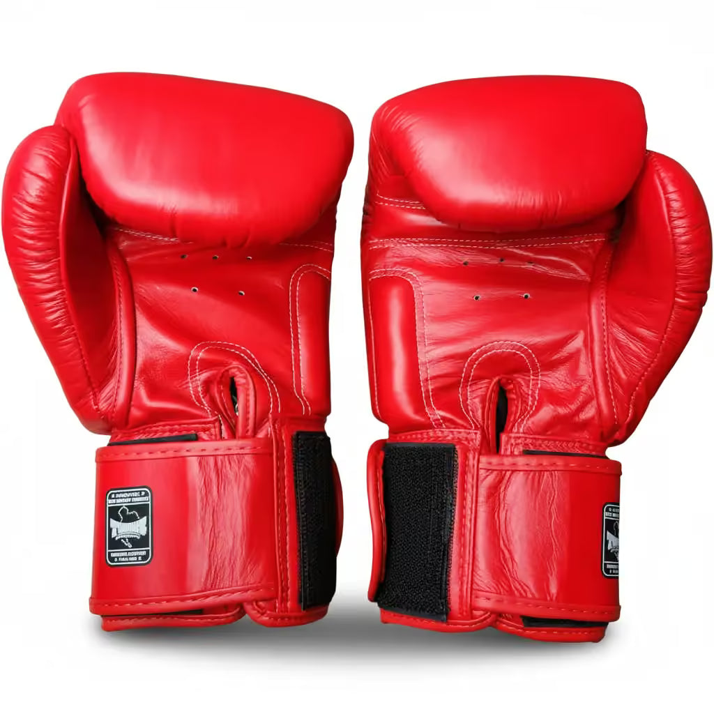 Twins Special Boxing Gloves | BGVL3