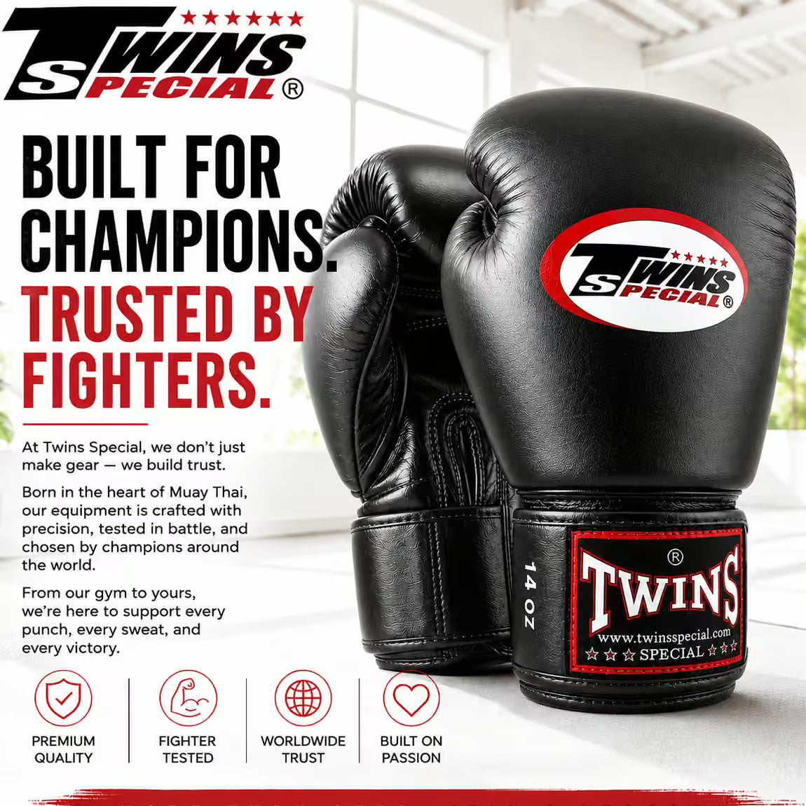 Twins Special Boxing Gloves | BGVL3