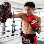Twins Special Boxing Gloves BGVL-6 | Premium Muay Thai & Boxing Training Gloves